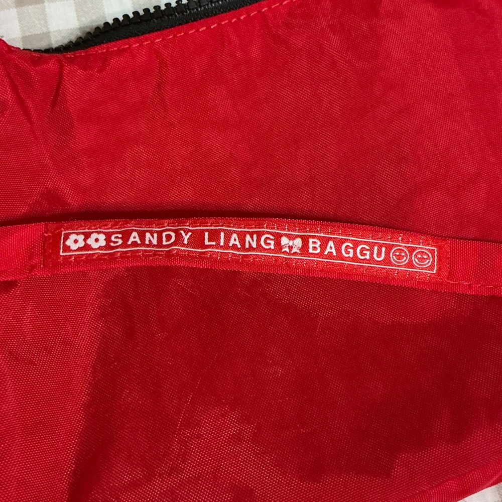 BAGGU Sandy Liang Purse - Picture 4 of 4